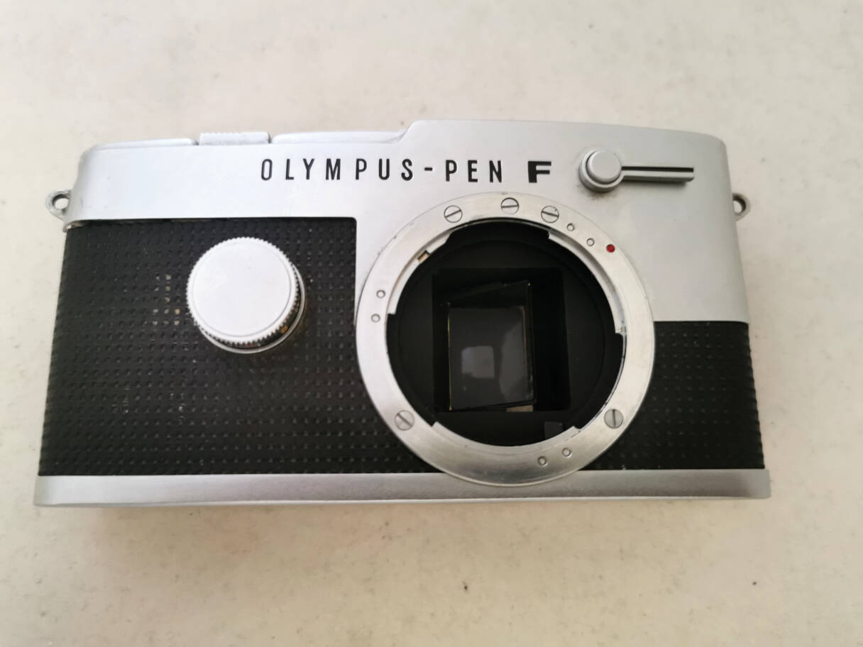 jpgodd/135_half_olympus_pen_ft_IMG_20250611_092049.jpg